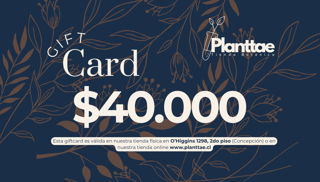 Gift Card Planttae