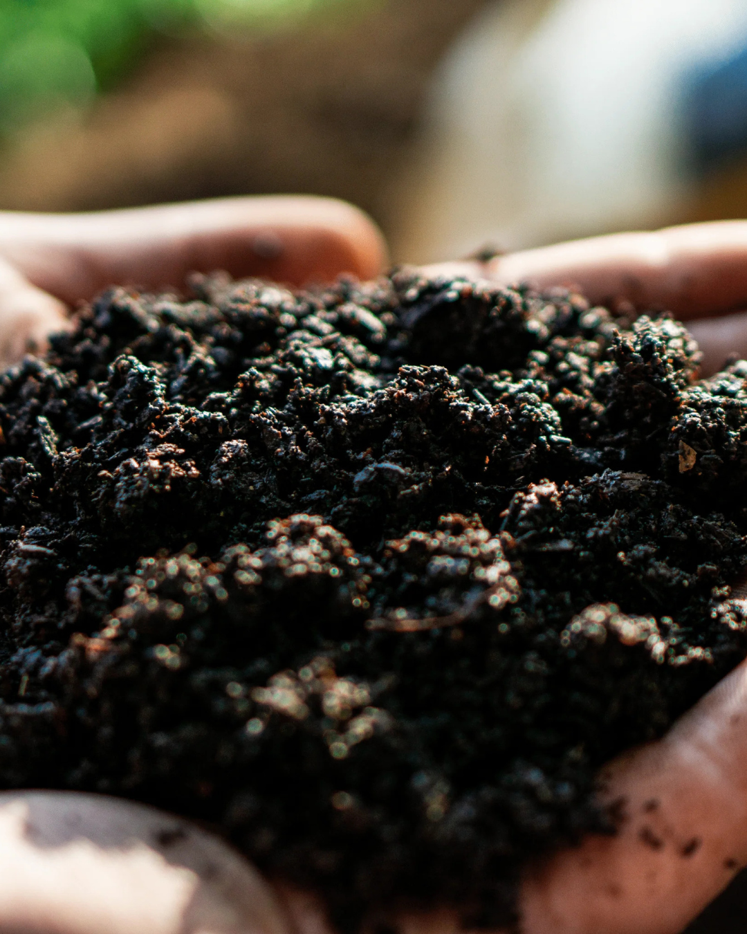 Compost