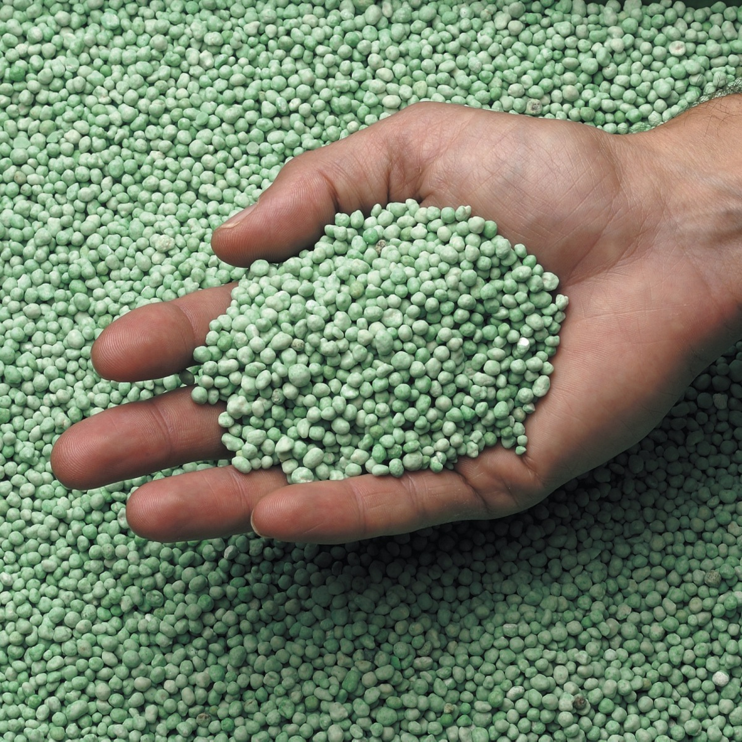 Basacote 100 g -Fertilizante de Liberación Controlada