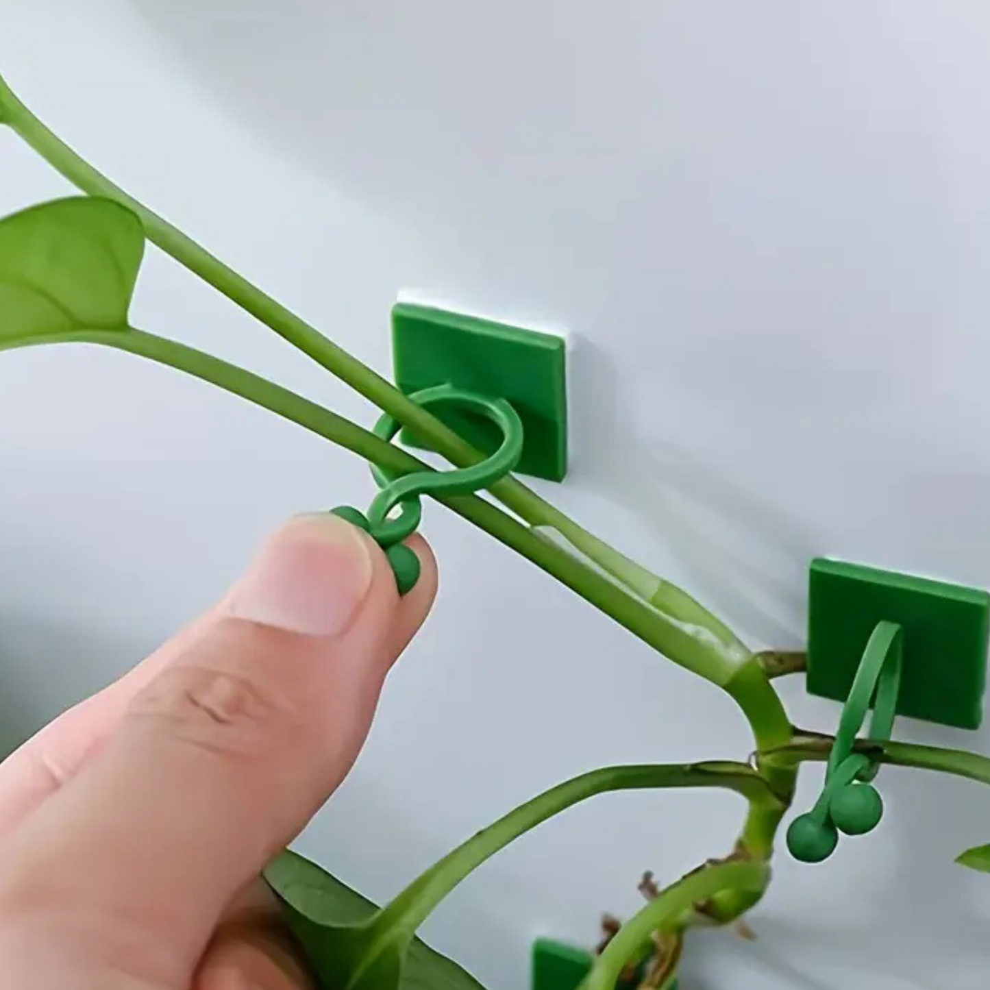 Clips Autoadhesivos para Plantas Trepadoras 10 un