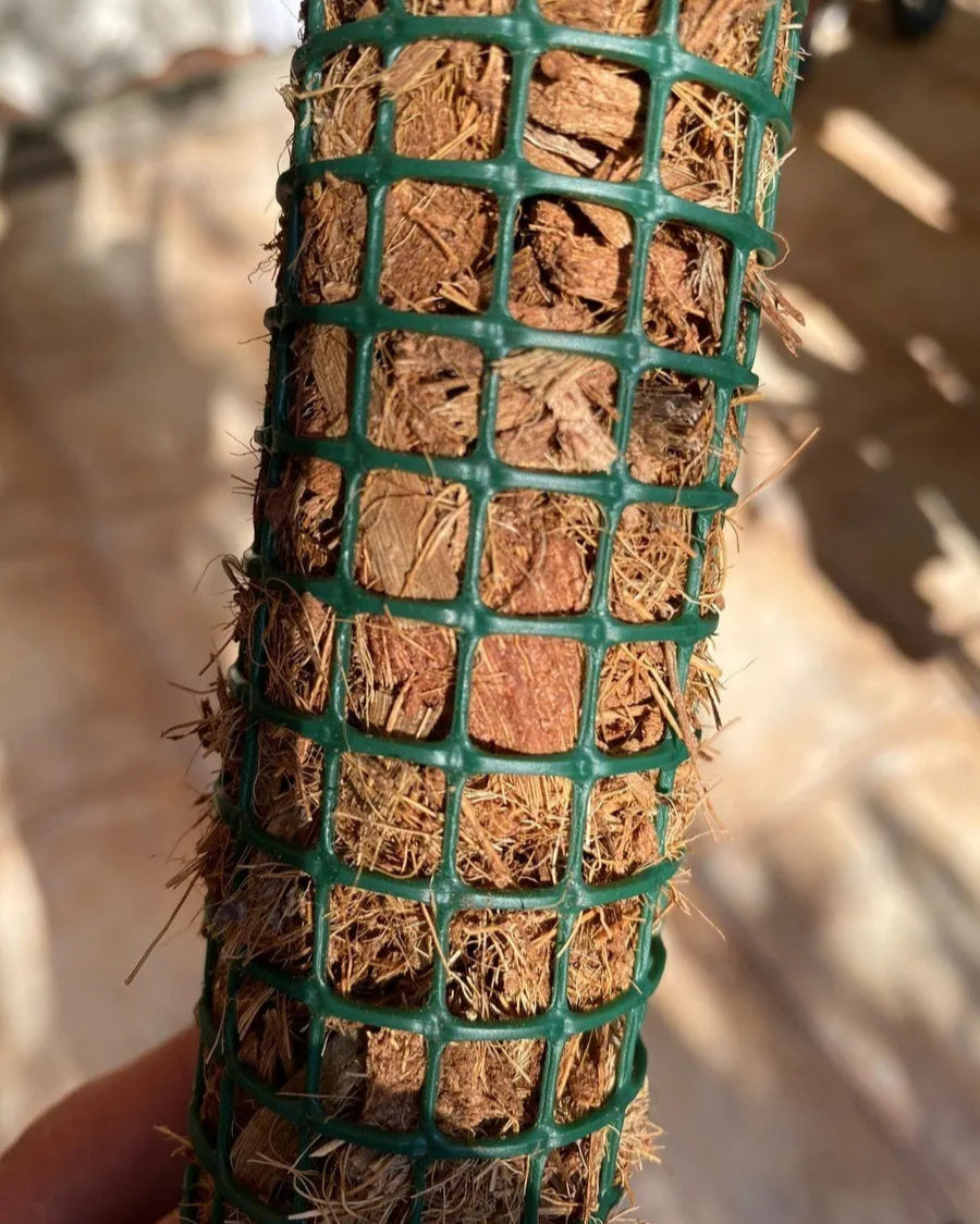 Tutor de Coco Chips – Soporte Natural para Plantas Trepadoras