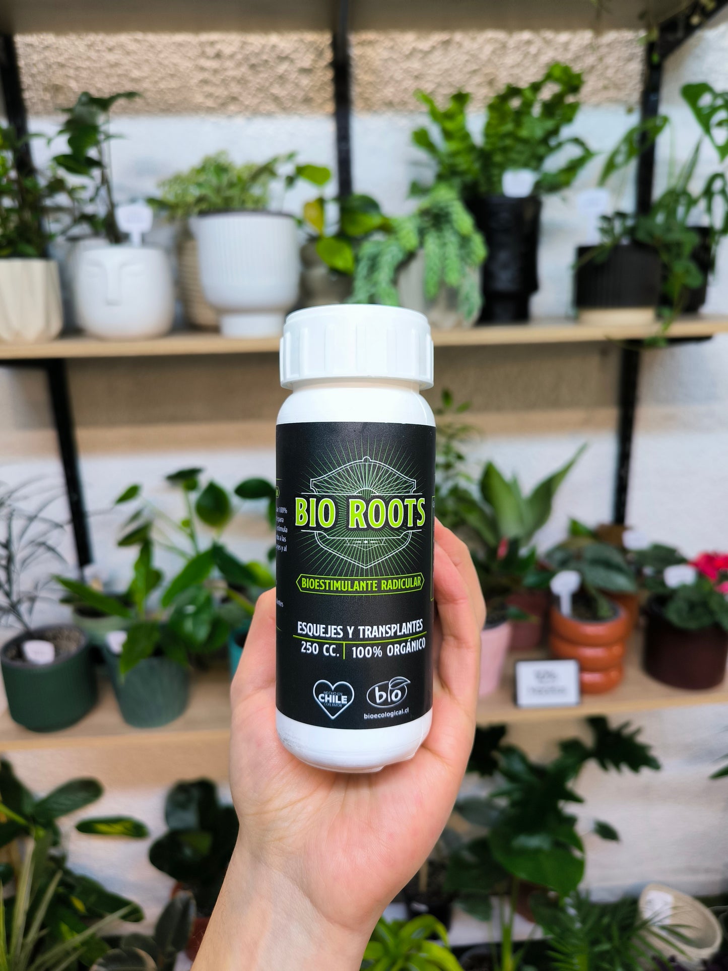 Bio Roots