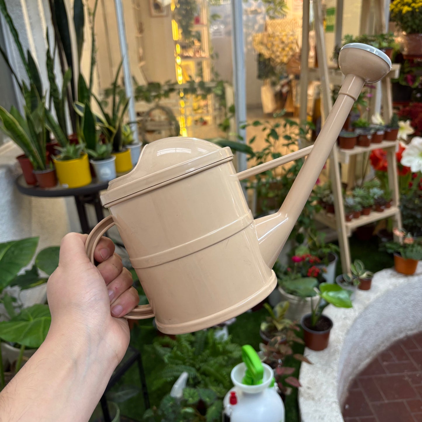 Regadera 1.55L