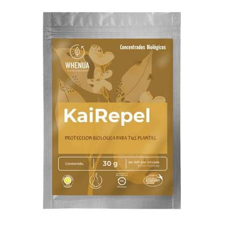 Kai Repel
