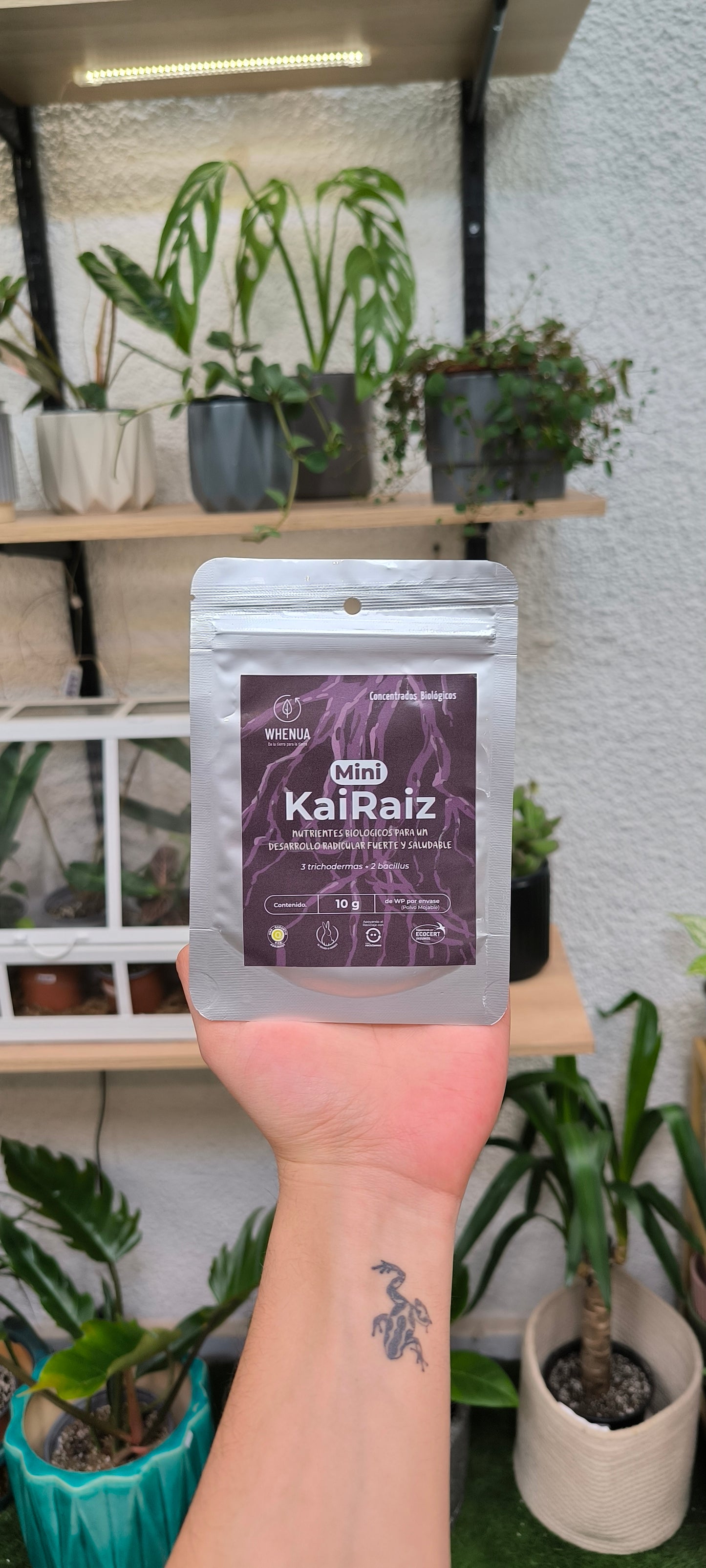 KaiRaiz