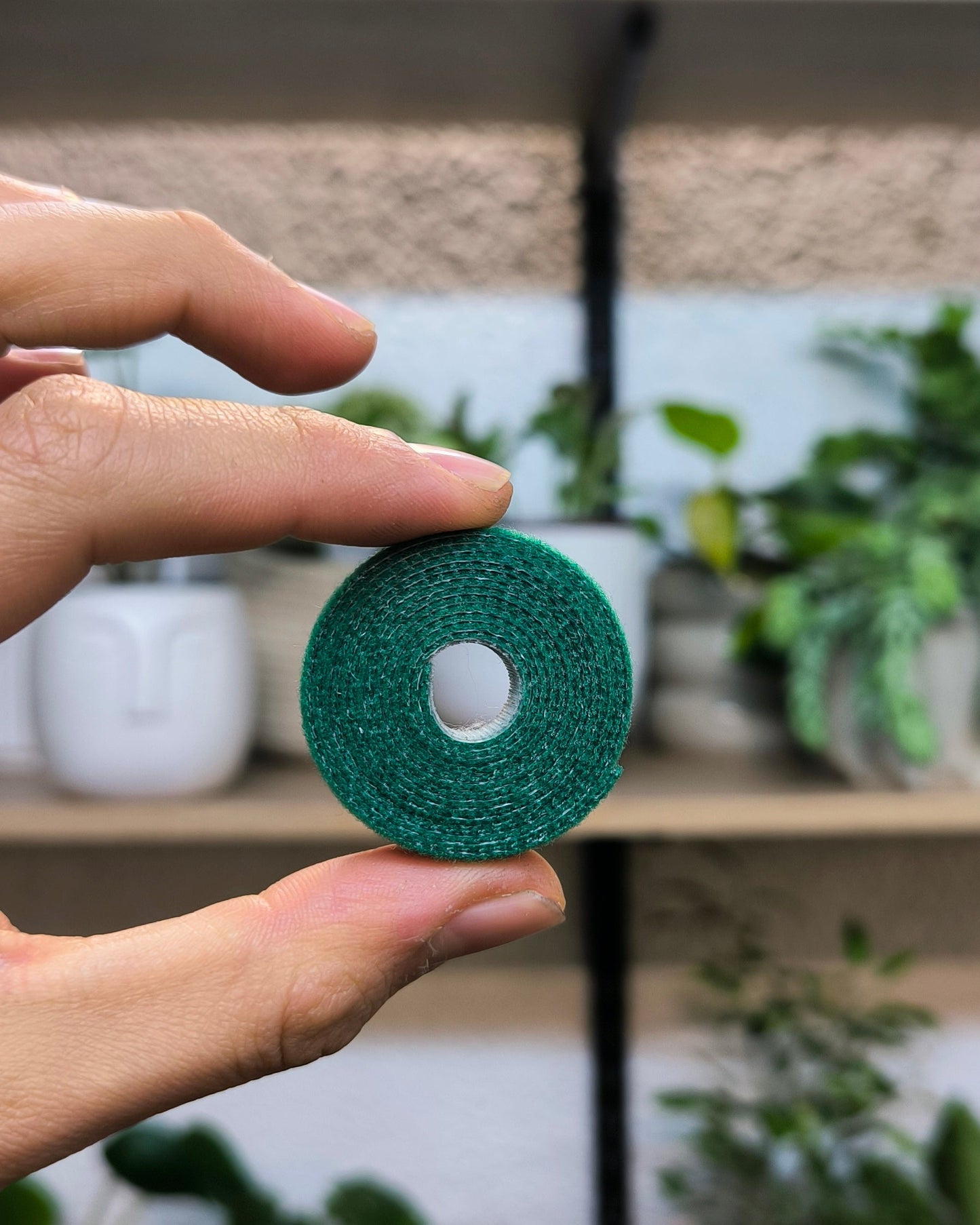 Velcro para Plantas
