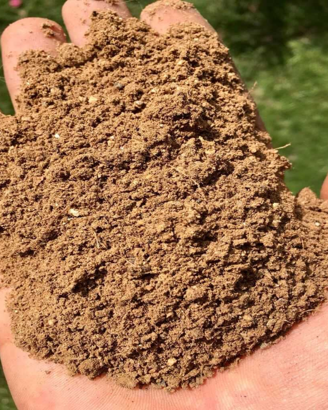 Guano Rojo