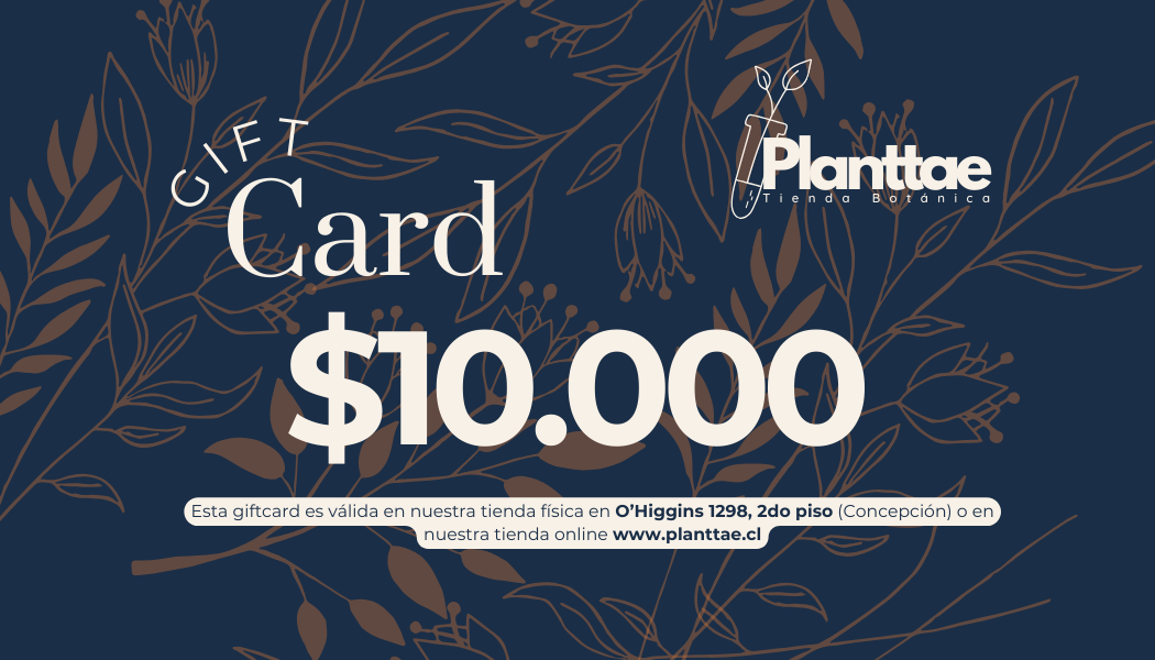 Gift Card Planttae