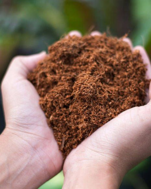 Fibra de Coco