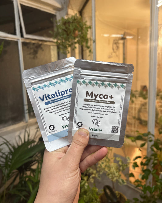 PACK RAICES – Myco+ Vitalipro+