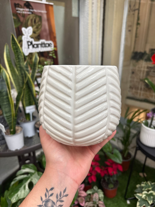 Maceta cerámica 25