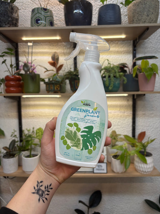 Green Plant – Limpiador Foliar con Extracto de Algas