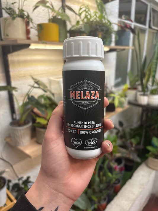 Melaza– Energía Natural para la Vida del Suelo