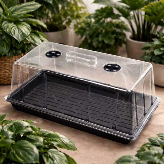 Mini Invernadero con Ventilación