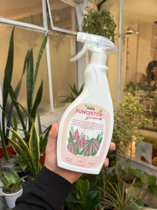 Fungistop – Protección Antifúngica Natural