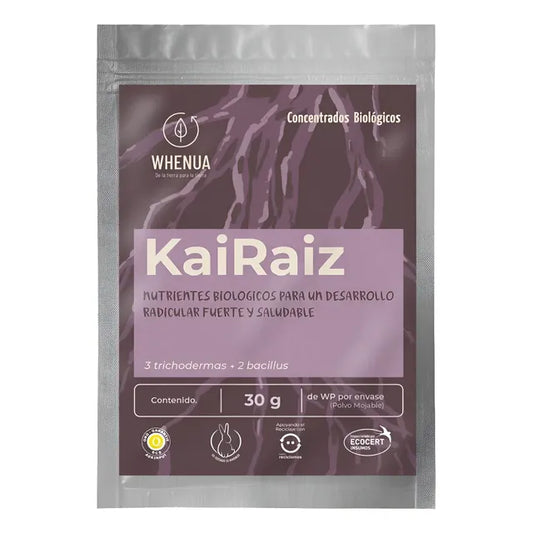 Kai Raiz