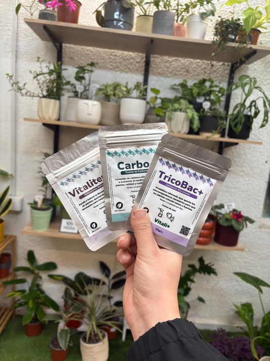 PACK INVIERNO - Vitaliterp+ Carbo+ Tricobac+