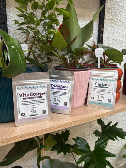 PACK INVIERNO - Vitaliterp+ Carbo+ Tricobac+