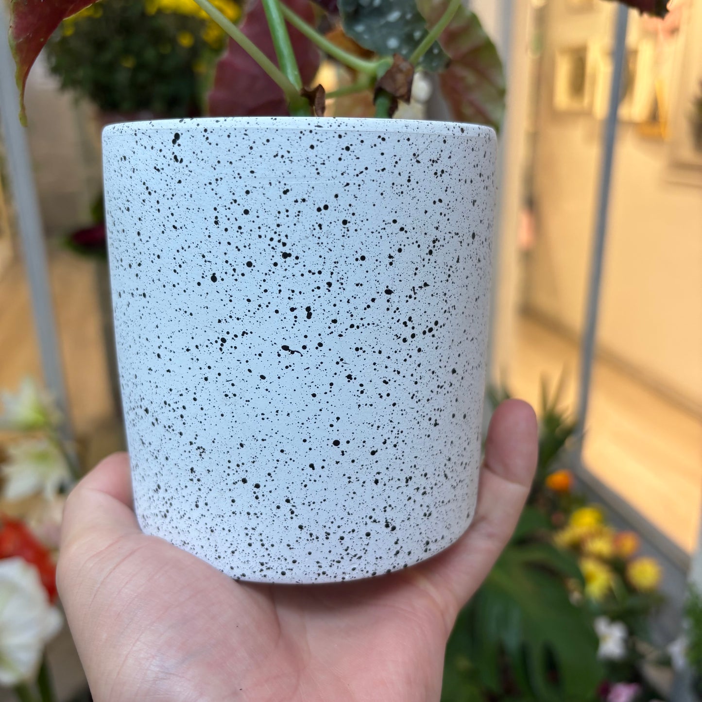 Maceta Cerámica estilo Terrazo 11Cm