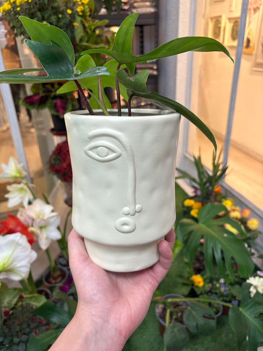 Maceta Rostro 13cm