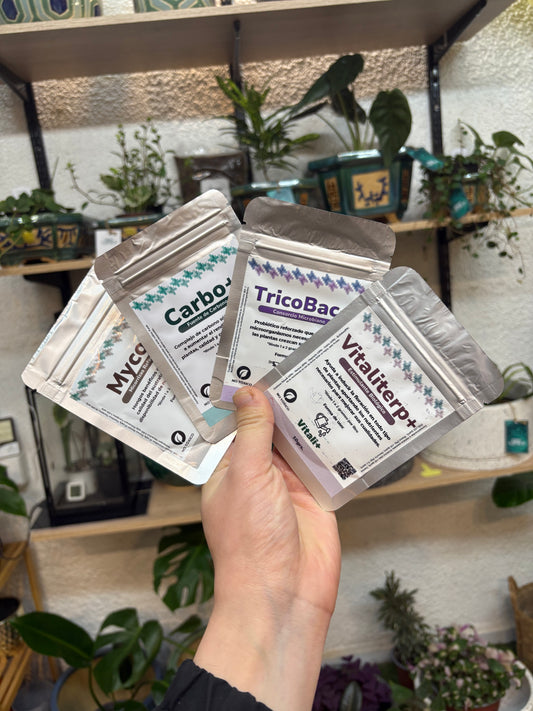 TETRA-PACK ANTIFRÍO – Myco+ Vitaliterp+ Carbo+ Tricobac+
