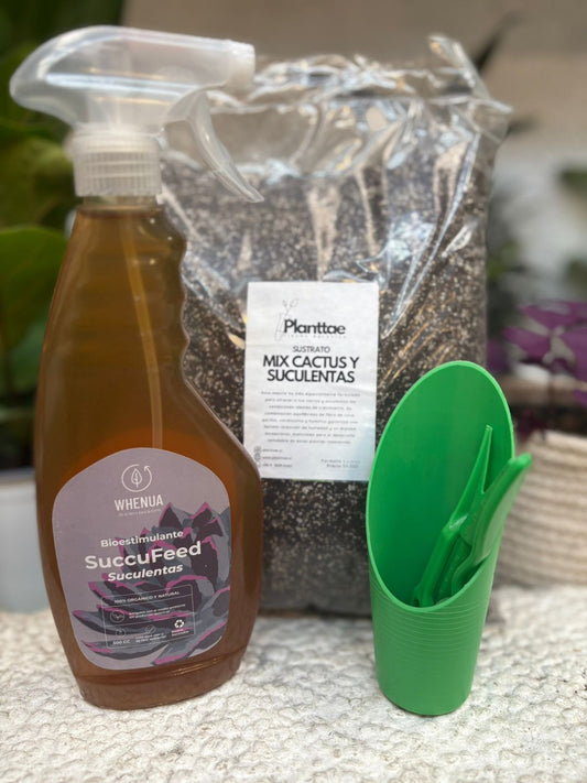 SUCCUPACK– SuccuFeed + Mix Cactus & Sucuelentas 4L + Kit Herramientas