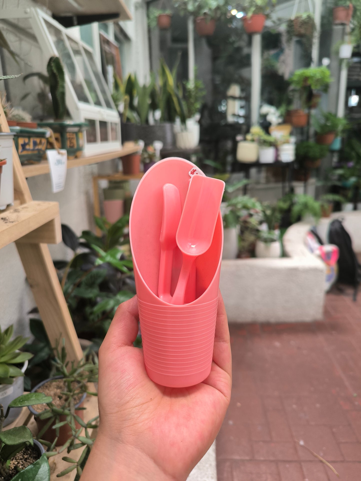 Kit Herramientas Suculentas