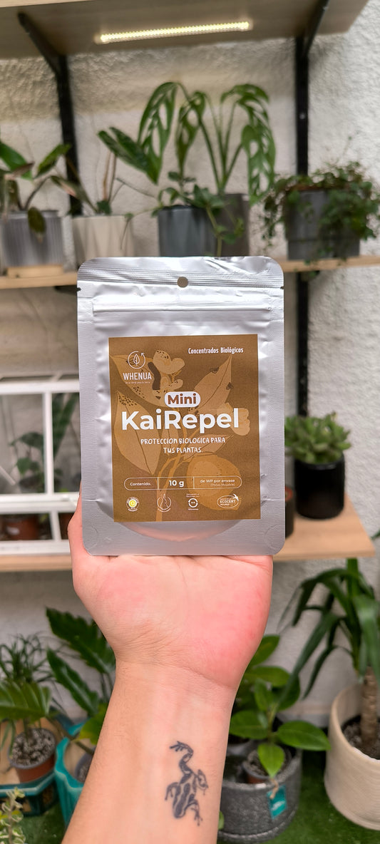 KaiRepel