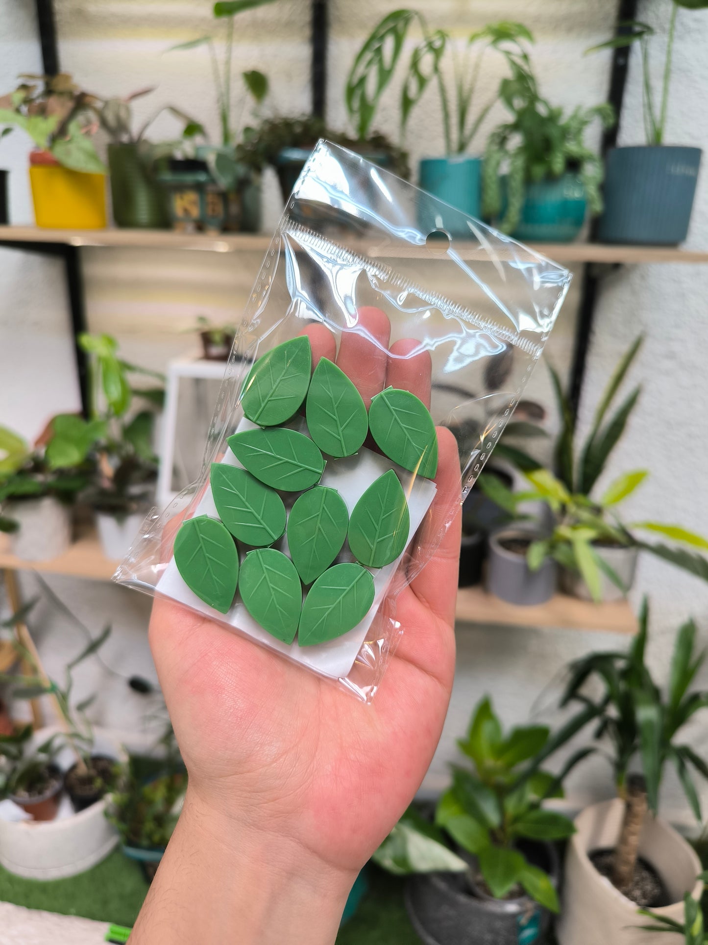 Clip para plantas trepadoras hoja